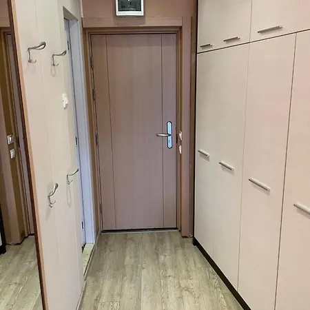 Apartment Brvenik